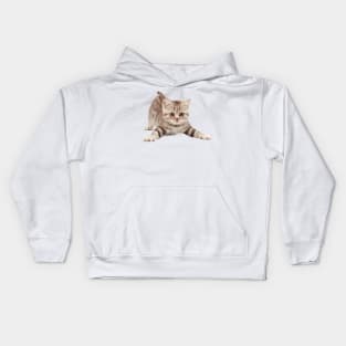 Nice cat kitten Kids Hoodie